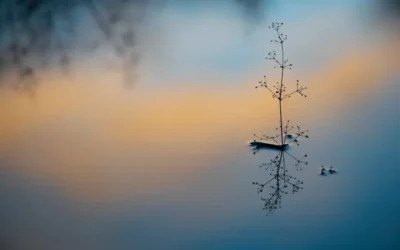 🔇 Силата на тишината: Как да чуем вътрешния си глас